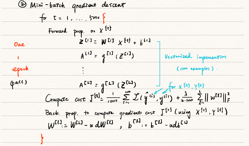 mini-batch gradient descent